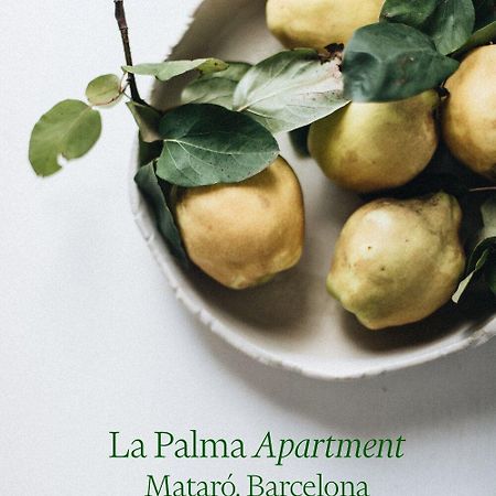 מטארו Apartamento Atico En El Casco Antiguo מראה חיצוני תמונה